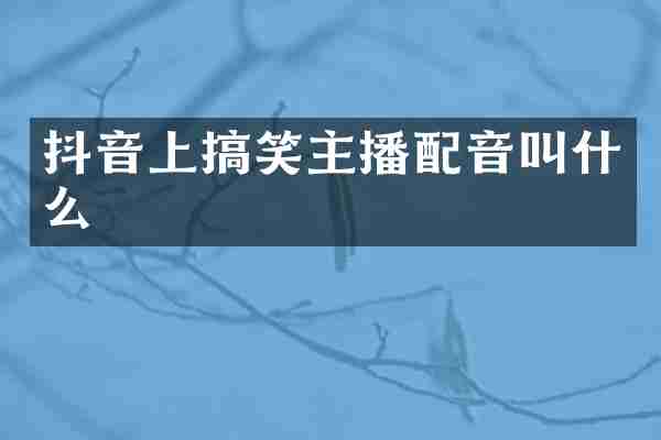 抖音上搞笑主播配音叫什么