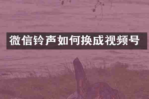 微信铃声如何换成视频号