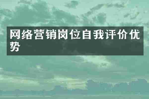 网络营销岗位自我评价优势