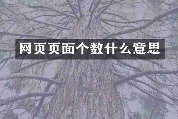 网页页面个数什么意思