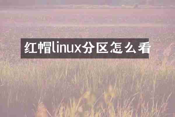 红帽linux分区怎么看