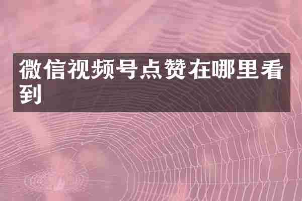 微信视频号点赞在哪里看到