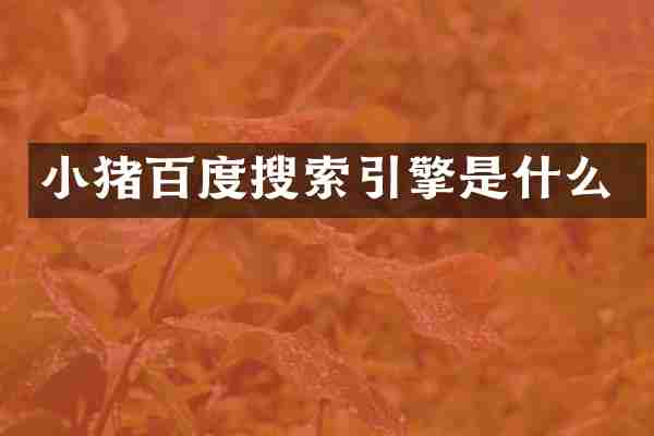 小猪百度搜索引擎是什么