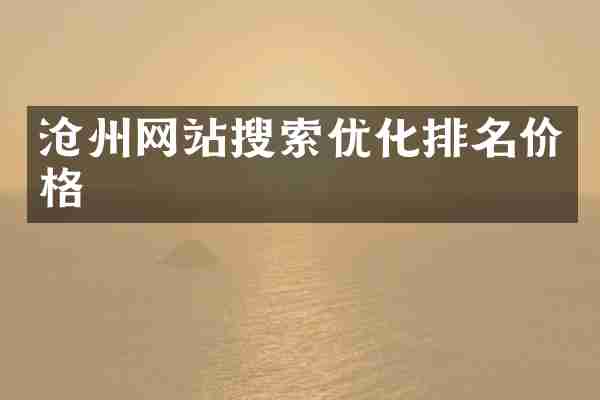 沧州网站搜索优化排名价格