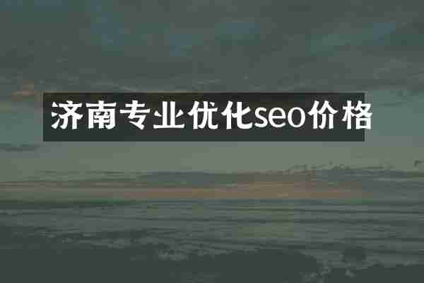 济南专业优化seo价格