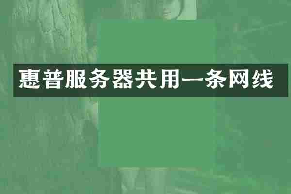 惠普服务器共用一条网线
