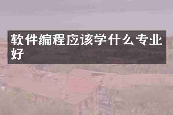 软件编程应该学什么专业好