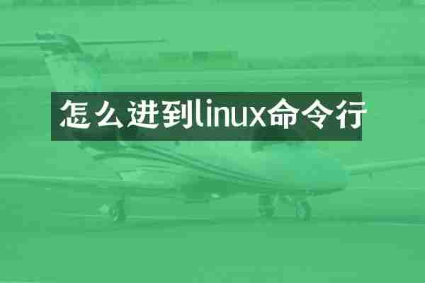 怎么进到linux命令行