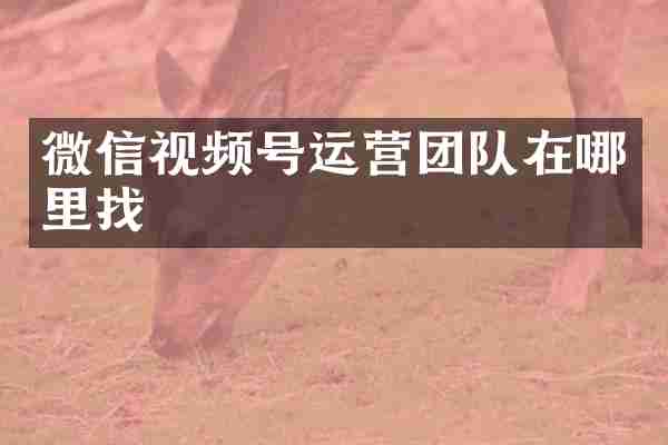 微信视频号运营团队在哪里找