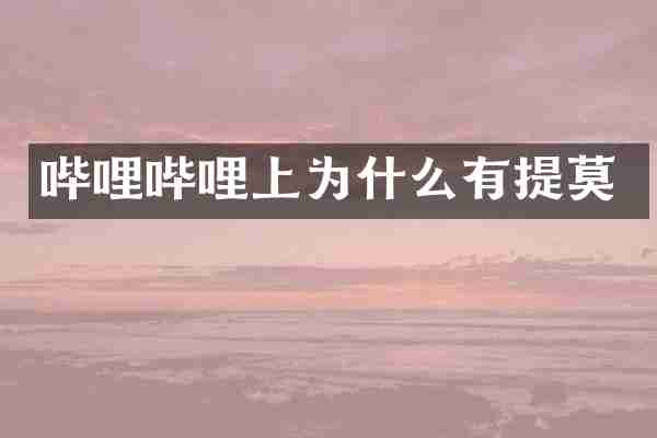 哔哩哔哩上为什么有提莫