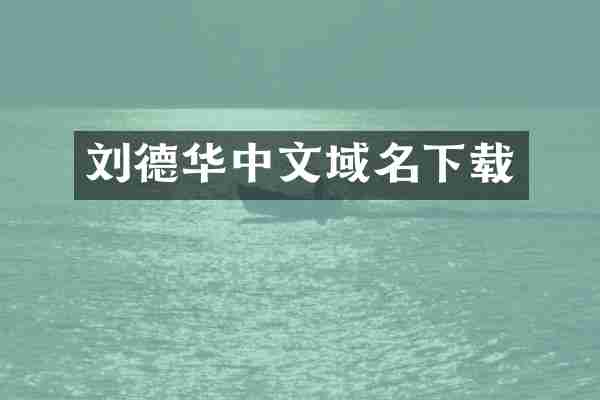 刘德华中文域名下载