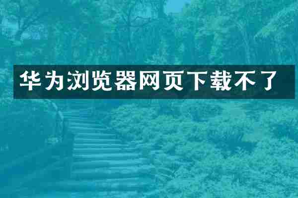 华为浏览器网页下载不了