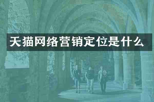 天猫网络营销定位是什么