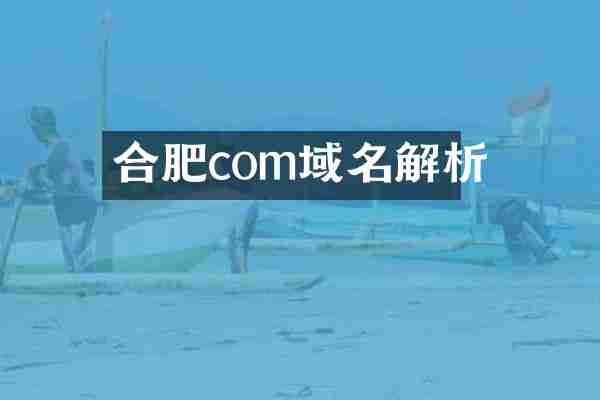 合肥com域名解析