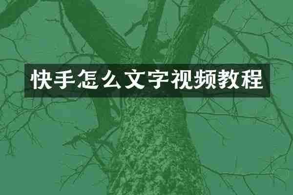 快手怎么文字视频教程