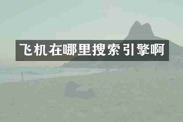 飞机在哪里搜索引擎啊