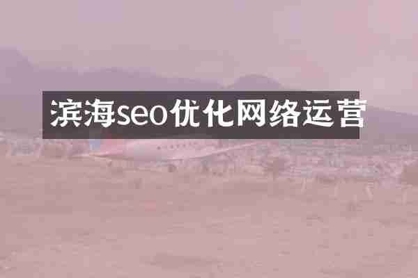 滨海seo优化网络运营