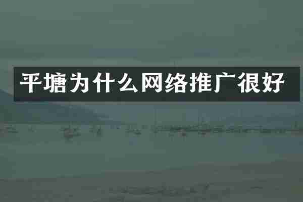 平塘为什么网络推广很好