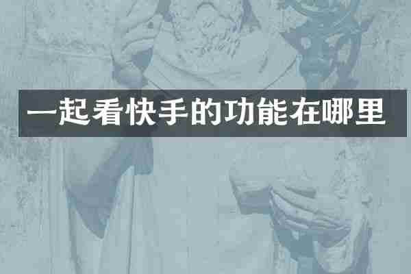 一起看快手的功能在哪里