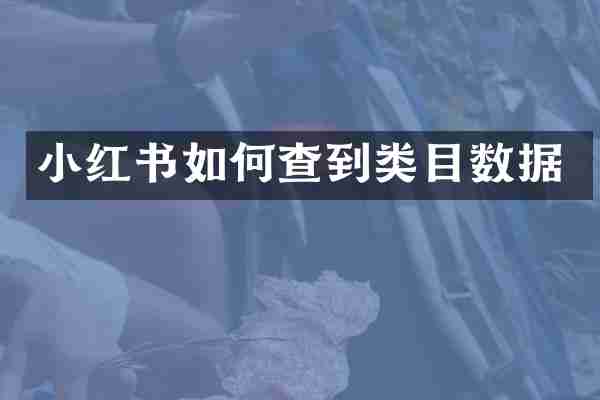 小红书如何查到类目数据