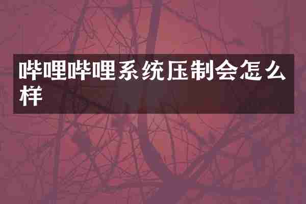 哔哩哔哩系统压制会怎么样