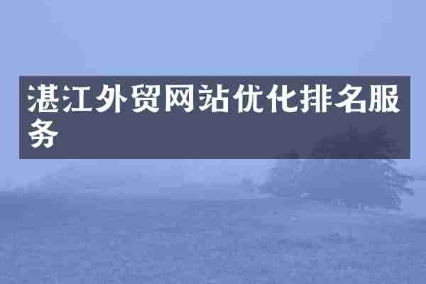 湛江外贸网站优化排名服务