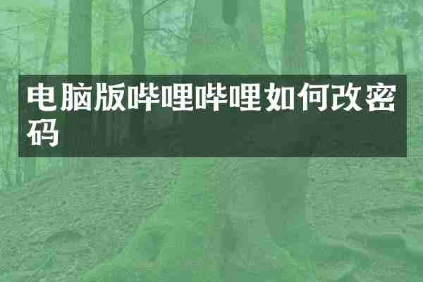 电脑版哔哩哔哩如何改密码