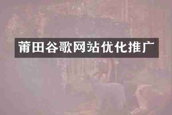 莆田谷歌网站优化推广