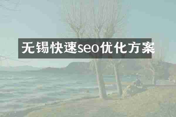无锡快速seo优化方案