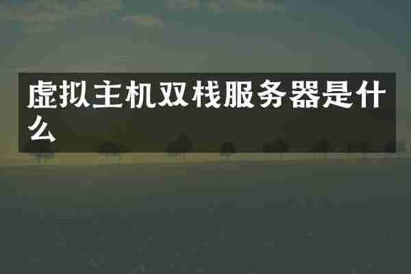 虚拟主机双栈服务器是什么