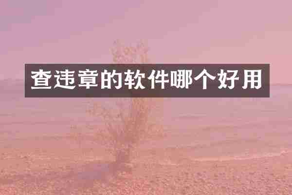 查违章的软件哪个好用