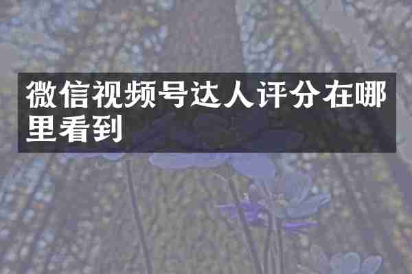 微信视频号达人评分在哪里看到
