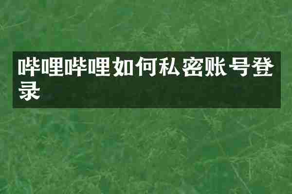 哔哩哔哩如何私密账号登录