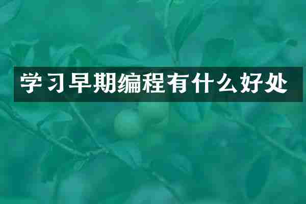 学习早期编程有什么好处