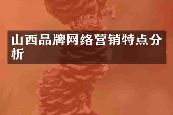 山西品牌网络营销特点分析