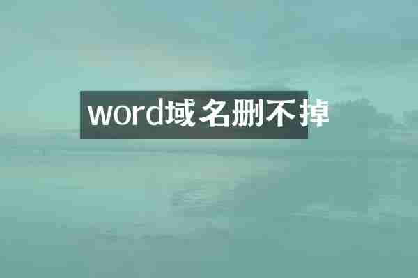 word域名删不掉