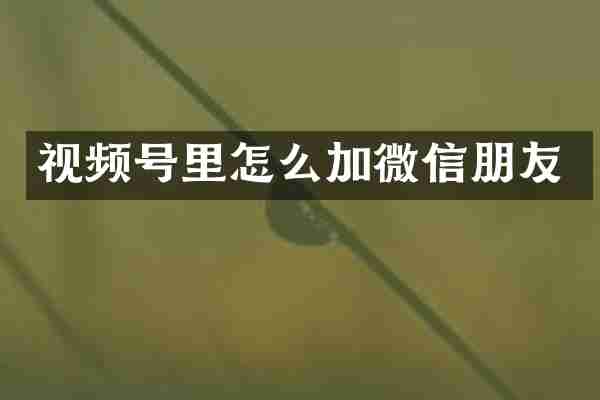视频号里怎么加微信朋友