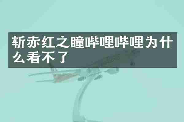 斩赤红之瞳哔哩哔哩为什么看不了