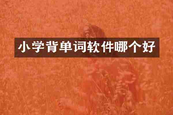 小学背单词软件哪个好