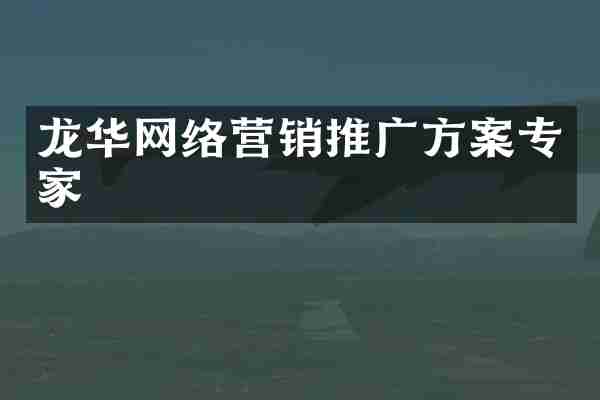 龙华网络营销推广方案专家