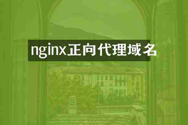 nginx正向代理域名