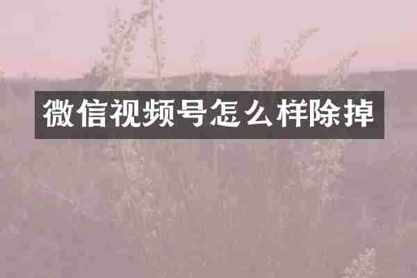 微信视频号怎么样除掉