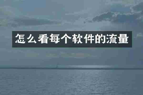 怎么看每个软件的流量