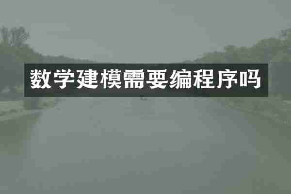 数学建模需要编程序吗