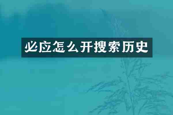 必应怎么开搜索历史