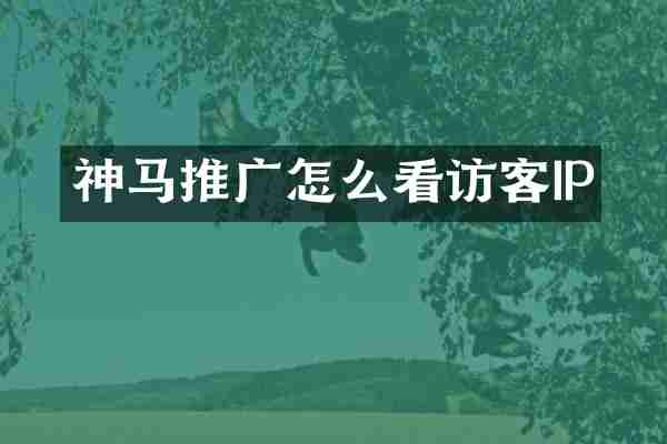 神马推广怎么看访客IP