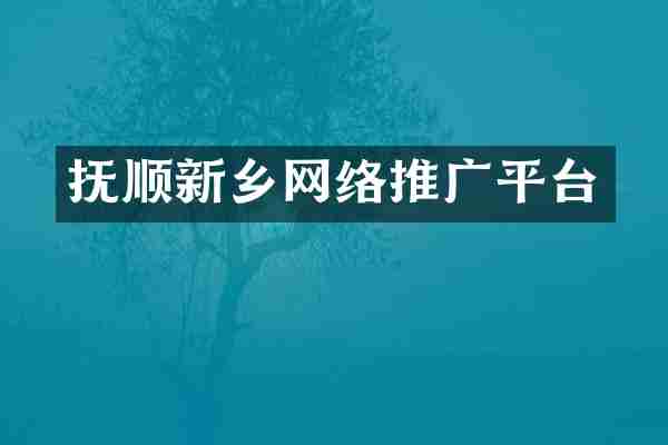 抚顺新乡网络推广平台