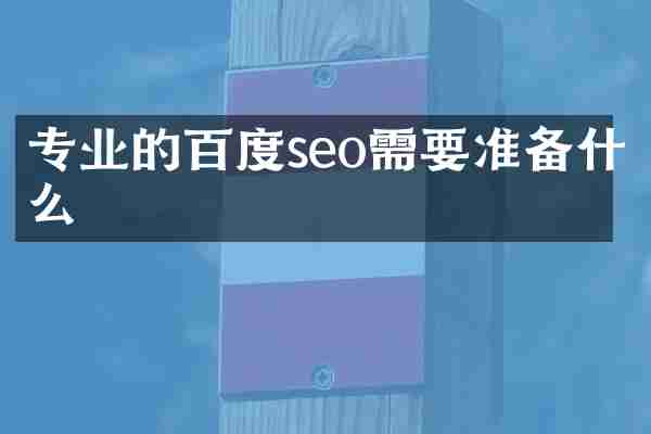 专业的百度seo需要准备什么