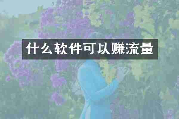 什么软件可以赚流量