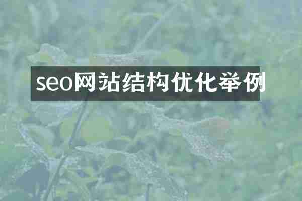 seo网站结构优化举例